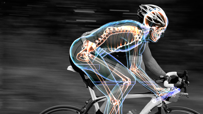 Graphic Of A Cyclist's Bones