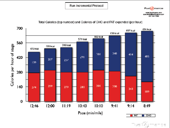 Burning Fat Calories Vs Carb Calories Per Gram