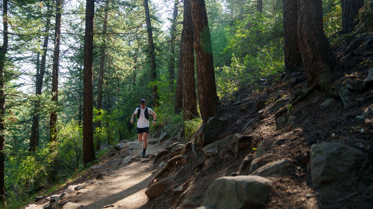 Trail Running Marathon Training Man Wearing Black Shorts, White Shorts, And A Running Pack, Trail Running Through A Mountain Forest.