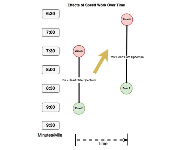 Speed Work for Distance Runners – TrainwithMarc