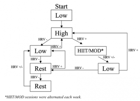 HRV-Guided Training Flow