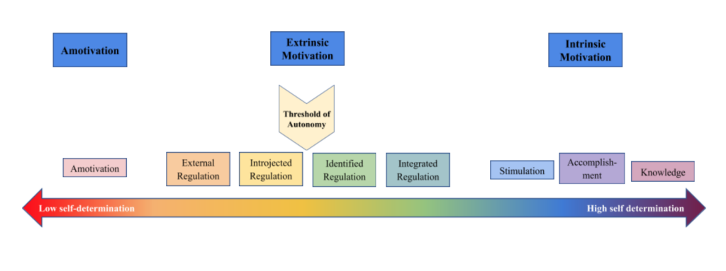 What Motivates Successful Athletes