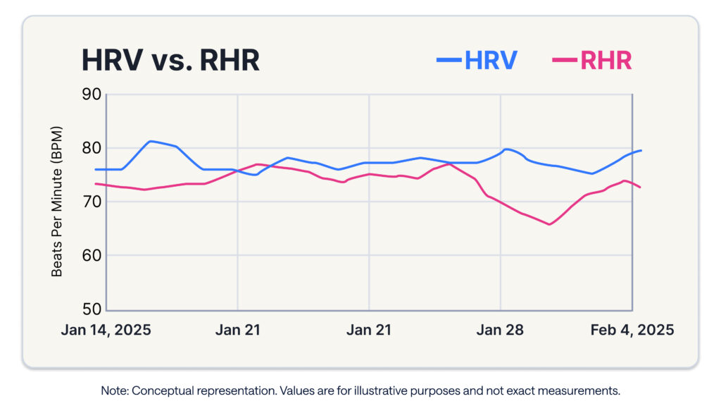 visual representation of the relationship between an athlete's heart rate variability and resting heart rate; as HRV climbs, usually RHR drops