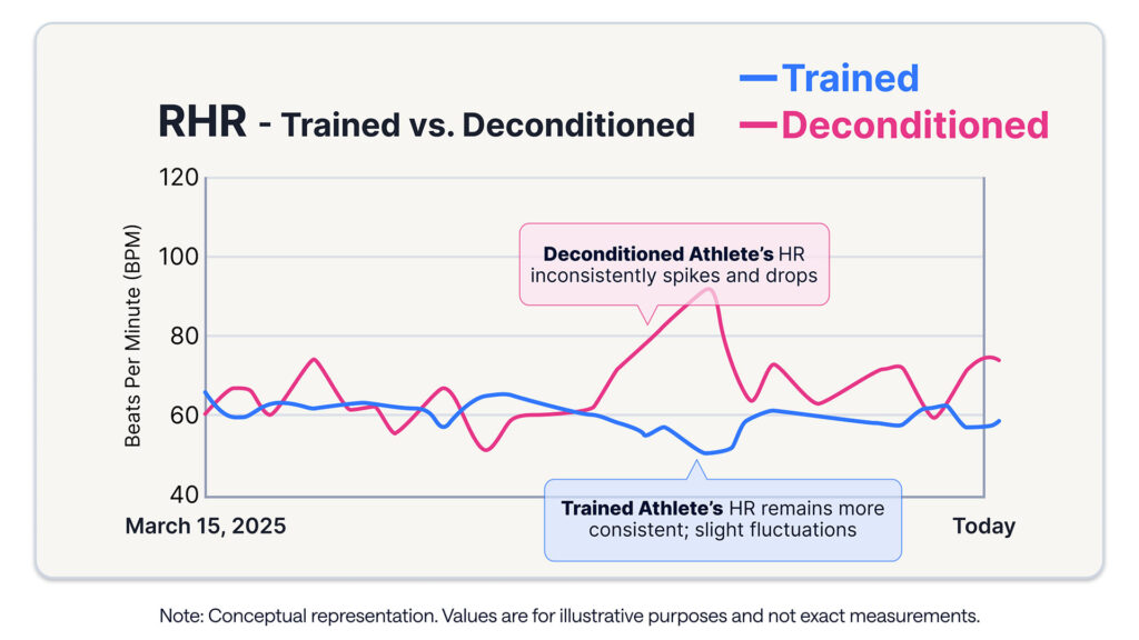 chart depicting resting heart rate in a trained individual (marked by consistency and small fluctuations) versus an untrained individual (marked by inconsistent spikes and drops) as seen in TrainingPeaks