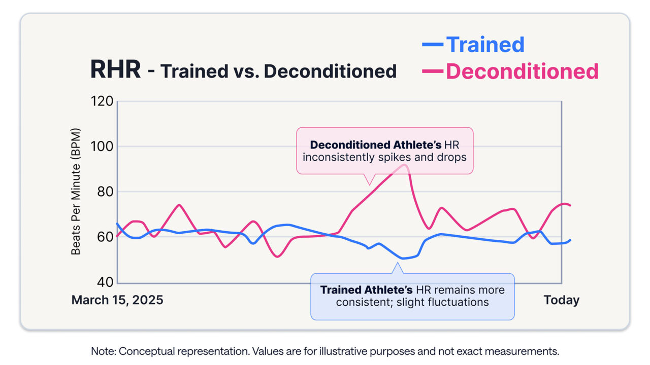 How Do You Know Rhr Does it Matter if Your Athletes Have High Resting Heart Rates?