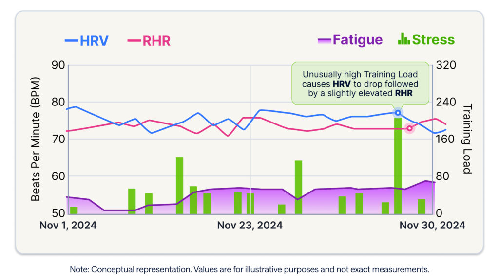 visual representation of heart rate variability and resting heart rate for a 56-year old cyclist in relation to training load in TrainingPeaks; the chart shows how a spike in training load causes the cyclist's HRV to drop and his RHR to elevate