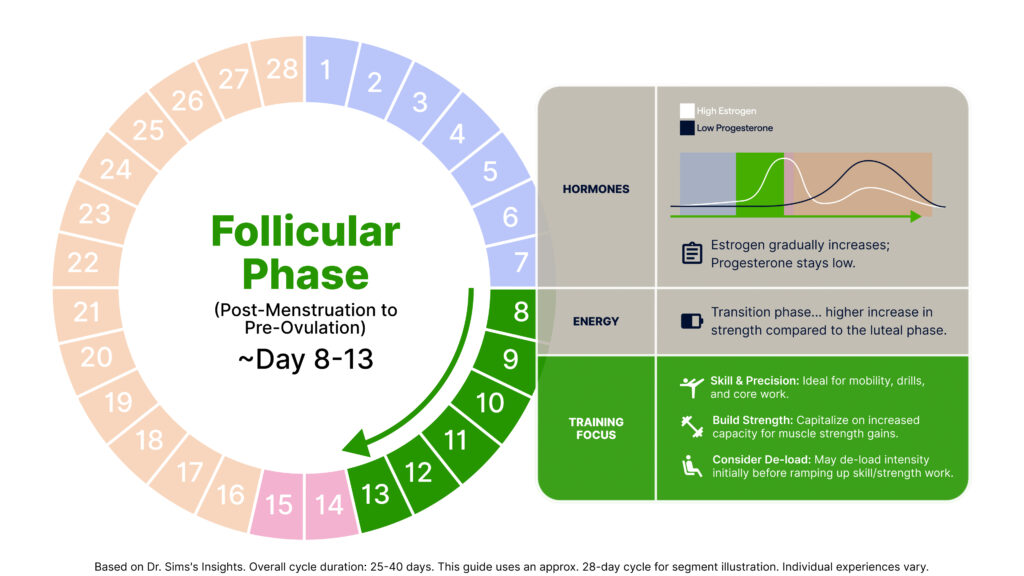 This image showcases the Follicular Phase (Post-Menstruation to Pre-Ovulation). The left side of the graphic features a circular diagram of a 28-day menstrual cycle with days 8-13 highlighted. The right side of the graphic is split into three sections:The first section is titled Hormones. It contains a small line graph showing hormone levels over time, with a legend indicating "High Estrogen" and "Low Progesterone". The line graph shows estrogen gradually increasing while progesterone stays low. Beneath the graphic, it reads: "Estrogen gradually increases; Progesterone stays low."Next, there’s an energy section. The description reads: "Transition phase... higher increase in strength compared to the luteal phase."The final section is Training Focus. It includes three bullet points that read:- "Skill & Precision: Ideal for mobility, drills, and core work."- "Build Strength: Capitalize on increased capacity for muscle strength gains."- "Consider De-load: May de-load intensity initially before ramping up skill/strength work."The bottom of the graphic says, "Based on Dr. Sims's Insights. Overall cycle duration: 25-40 days. This guide uses an approx. 28-day cycle for segment illustration. Individual experiences vary."