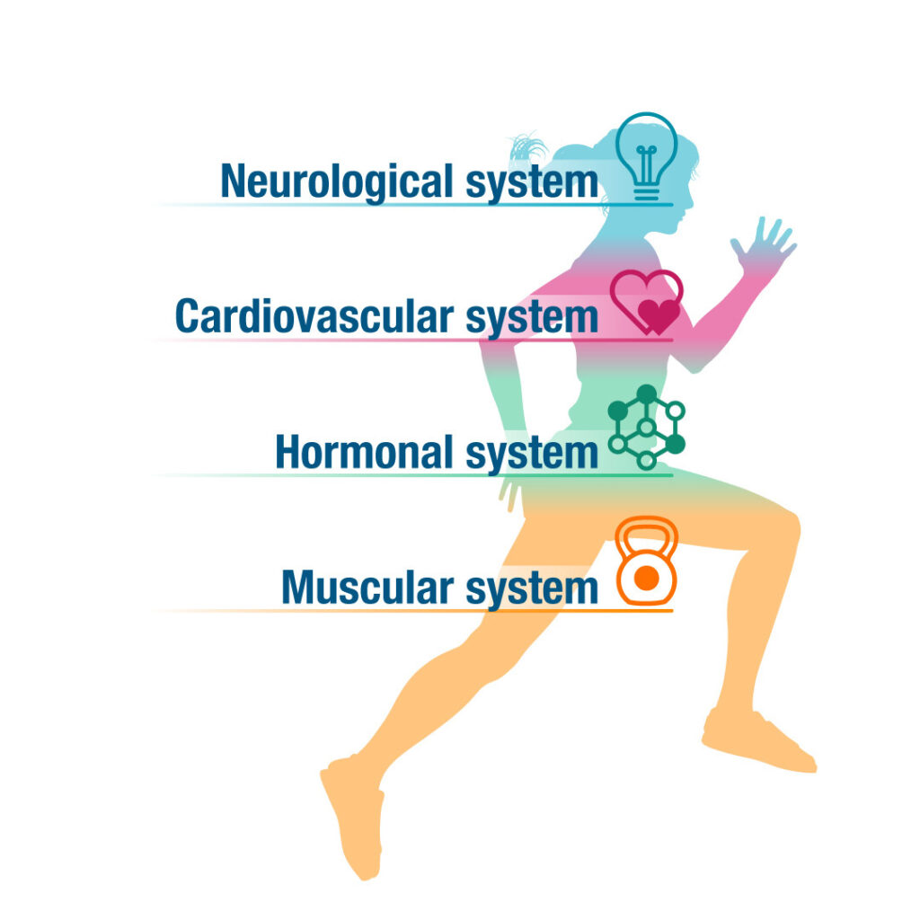 Sports nutrition for mature athletes