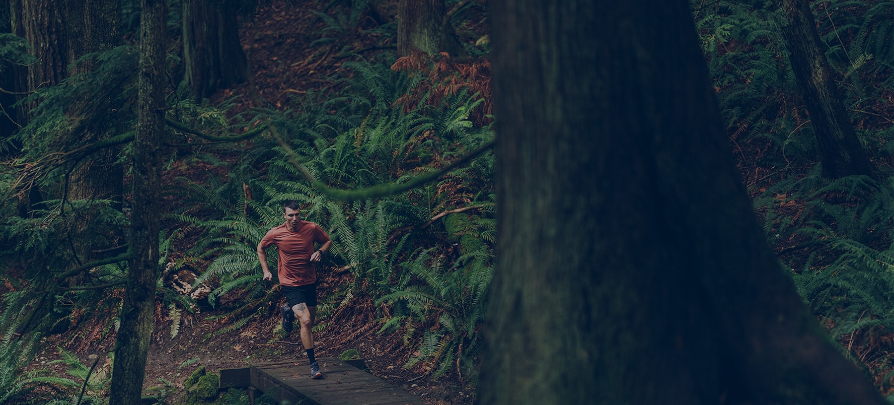 Trail Runner On Bridge Trail Runner On Bridge