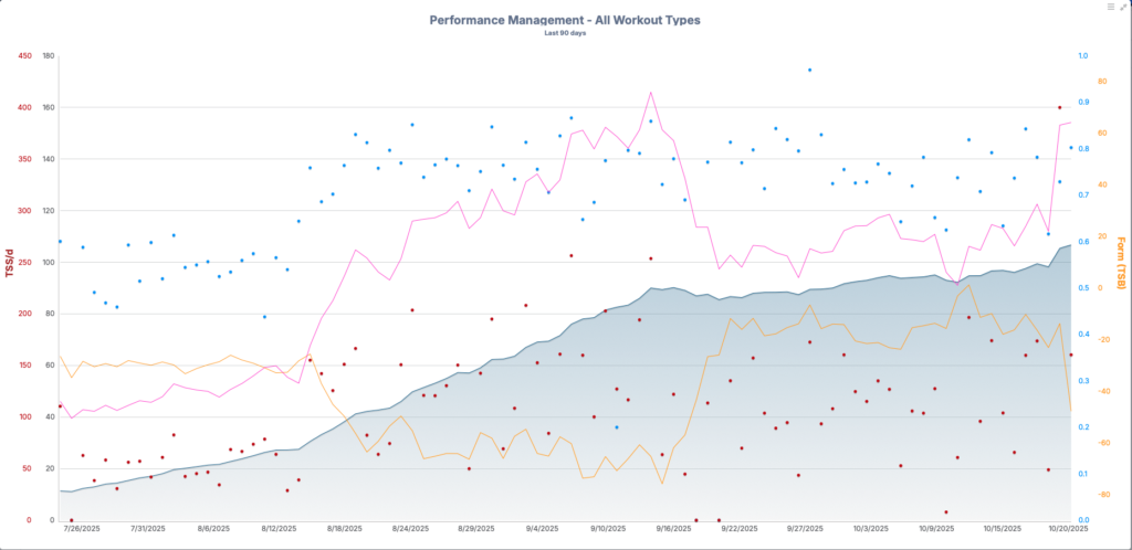 Molly Seidel Pmc 90 Days