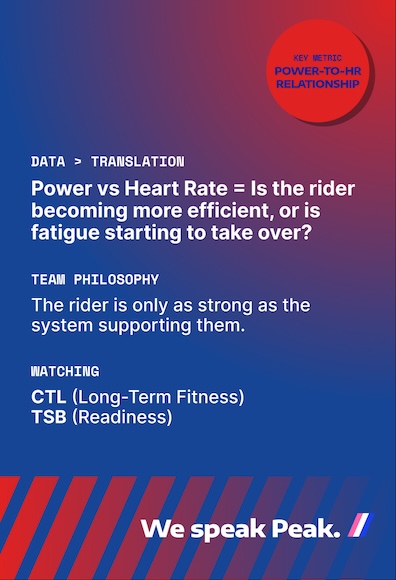 Koen Pelgrim Coach Card Back