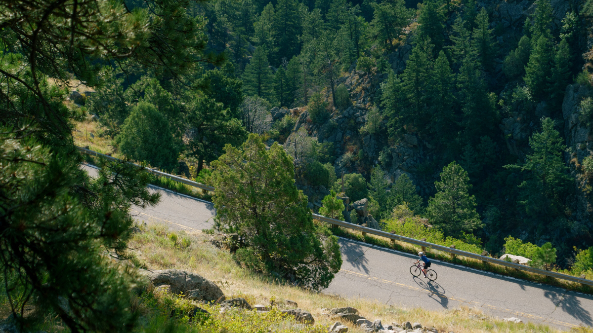 Best Century Cycling Plan